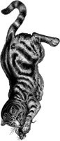 AMB022A.TIF
