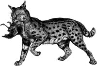 AMB020B.TIF