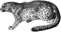 AMB019C.TIF