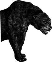 AMB018E.TIF