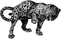 AMB018C.TIF
