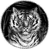 AMB015C.TIF