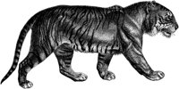 AMB015A.TIF