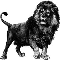 AMB012D.TIF