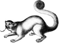 AMB008E.TIF