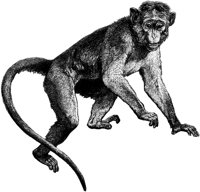 AMB006E.TIF