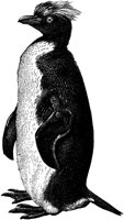AMB126E.TIF