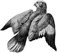 AMB116C.TIF