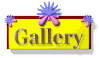 GALL~100.GIF