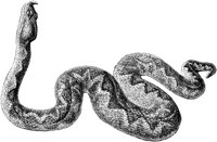 AMB186C.TIF