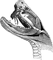 AMB185A.TIF