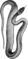 AMB181A.TIF