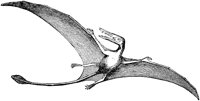 AMB168F.TIF