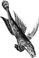 AMB226C.TIF