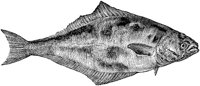 AMB216G.TIF