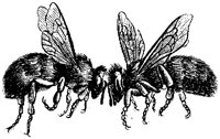 AMB251M.TIF