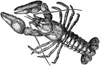 AMB266E.TIF