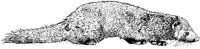 AIL003E.TIF
