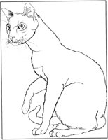 CCB040A.TIF