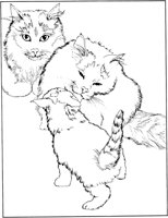 CCB026A.TIF