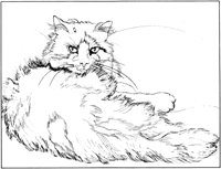 CCB024A.TIF