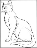 CCB023A.TIF