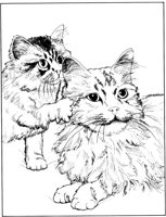 CCB022A.TIF