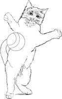 CCB020A.TIF
