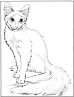 CCB017A.TIF