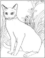 CCB015A.TIF
