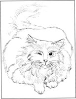 CCB014A.TIF