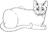 CCB013A.TIF