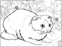CCB012A.TIF
