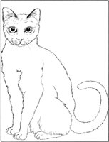 CCB011A.TIF