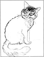 CCB008A.TIF