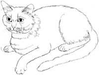 CCB007A.TIF
