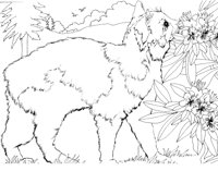 CCB006A.TIF