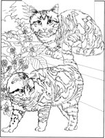 CCB005A.TIF