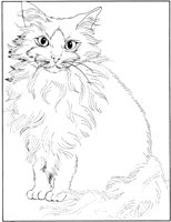 CCB004A.TIF