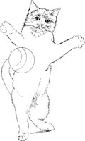 CCB000A.TIF