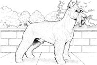 FVD027A.TIF