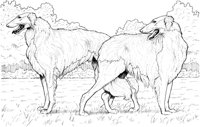 FVD009A.TIF
