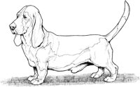 FVD006A.TIF