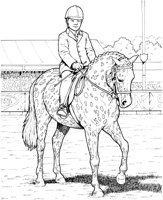 HOW042A.TIF
