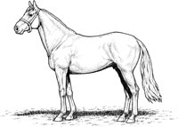 HOW040A.TIF