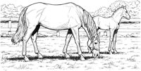 HOW039A.TIF