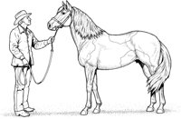 HOW038A.TIF