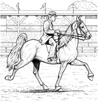 HOW036A.TIF