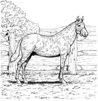 HOW032A.TIF