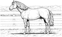 HOW030A.TIF